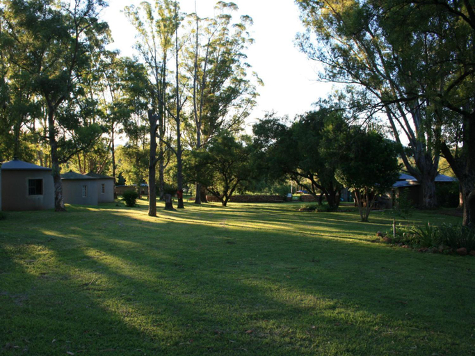 Others 3, Klein Paradys Parys, Fezile Dabi