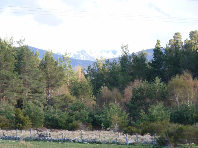 Others 5, Tanleys B&B, Highland