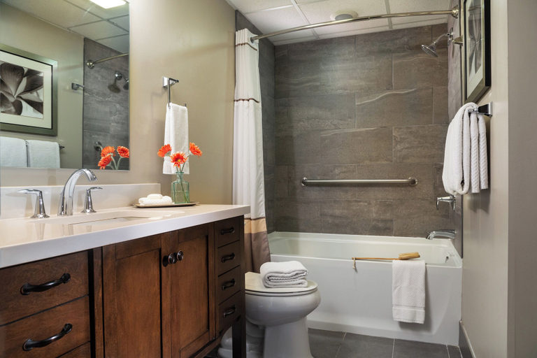 Bathroom 4, Meadowbrook Inn, Watauga