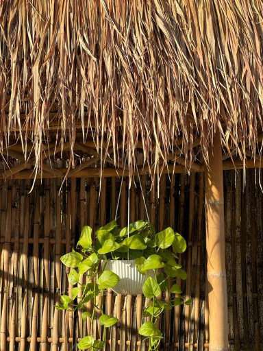 Others 5, La Casa Hostel, Luang Prabang