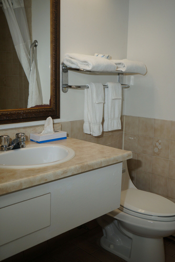 Bathroom 5, Jolly Roger Inn & Resort, Parry Sound