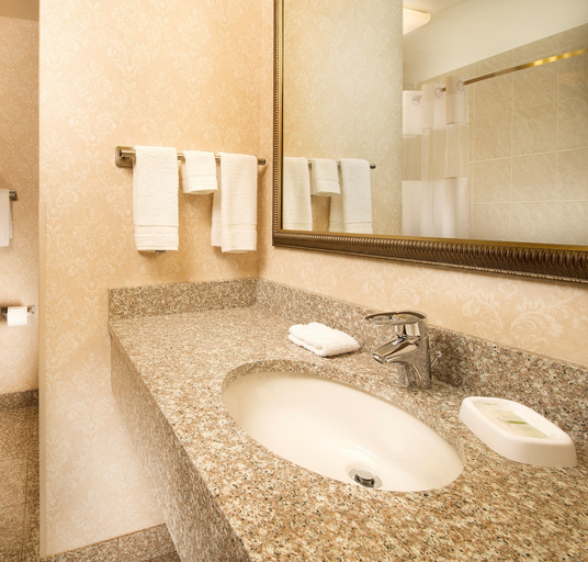 Bathroom 4, Drury Inn & Suites Cincinnati Sharonville, Cincinnati