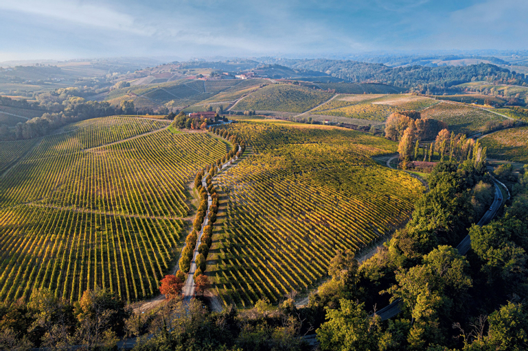 La Tenuta La Meirana, Alessandria