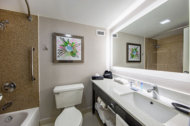 Bathroom 4, Bw Plus Clemson Hotel & Conference Center, Pickens