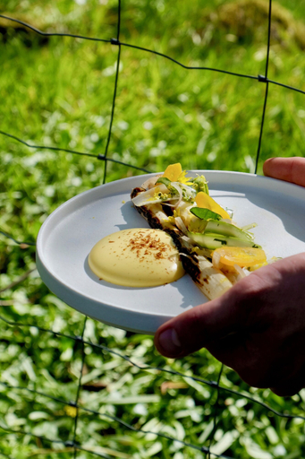 Food & Drinks 5, Boen Gard, Kristiansand