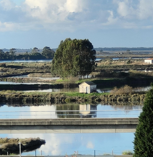 Others