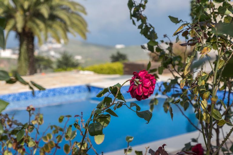 Sport & Beauty 2, Los Paredones Farm - Private Pool - Garden, Las Palmas