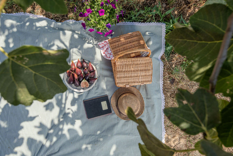Food & Drinks 5, Agriturismo Campo All'Olmo, Livorno