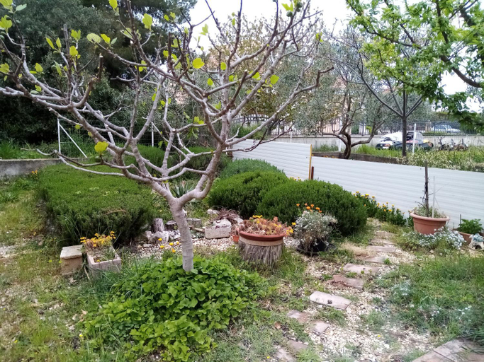 Others 4, Apartments Vanja Skara Biograd, Biograd na Moru