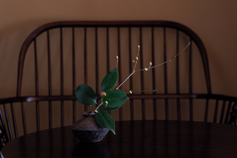 Scenery 12