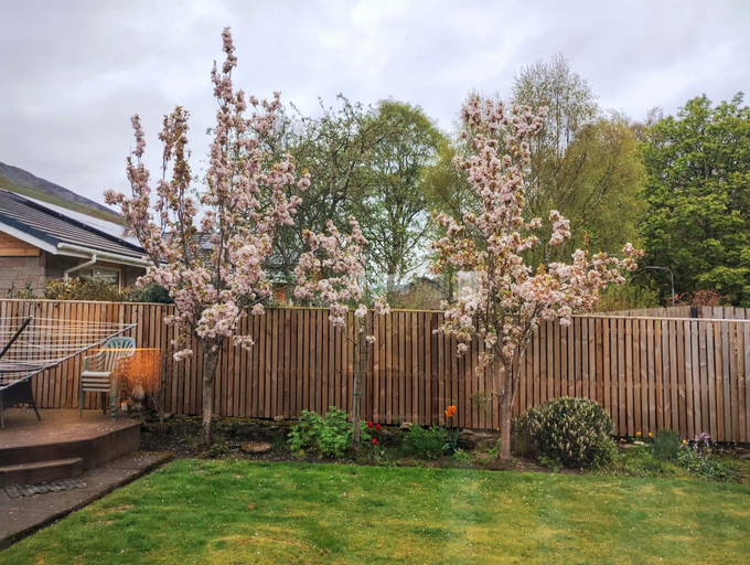 Others 4, Immaculate 2-bed Apartment in Innerleithen, Scottish Borders