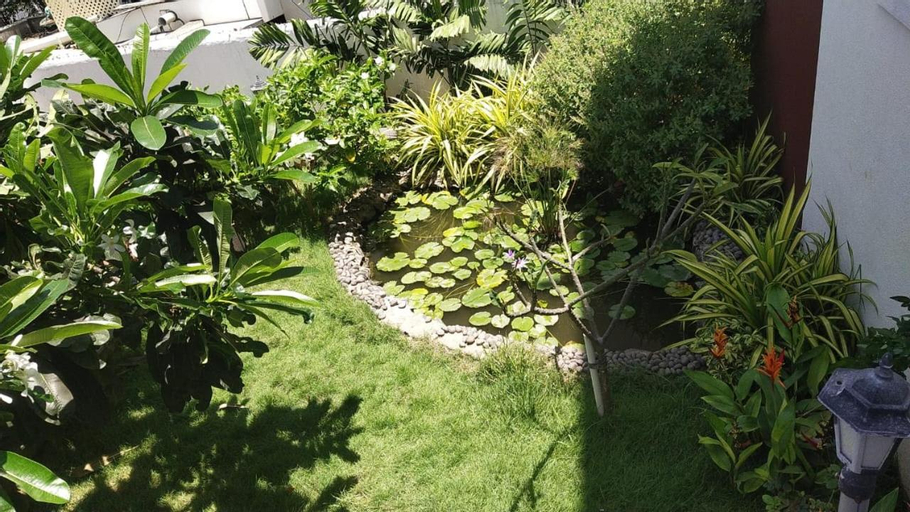 Scenery 17