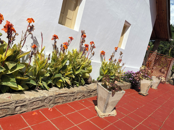 Others 3, Mrefu Eco Lodge, Moshi Rural