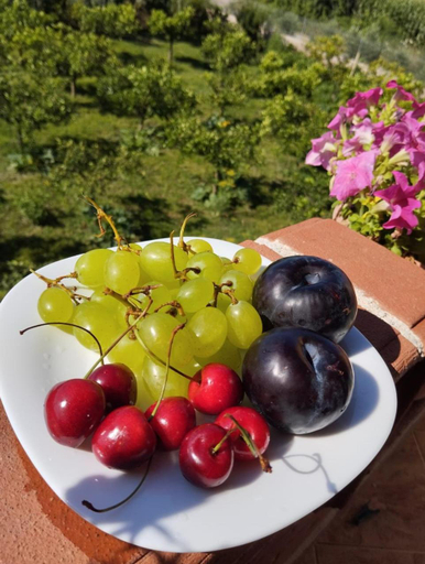 Others 4, The Garden Guest House, Lushnjës