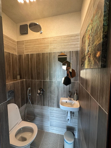 Bathroom 3, Villa Le Cinema, Samokov