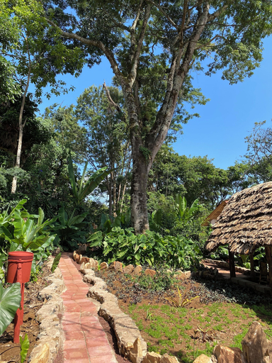 Others 5, Mrefu Eco Lodge, Moshi Rural