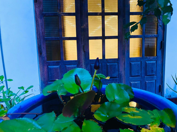 Others 4, Sachi's place, Tangalle