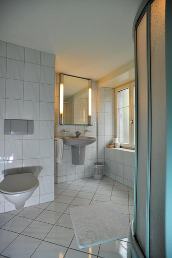 Bathroom 3, Hotel Freihof, Glarus