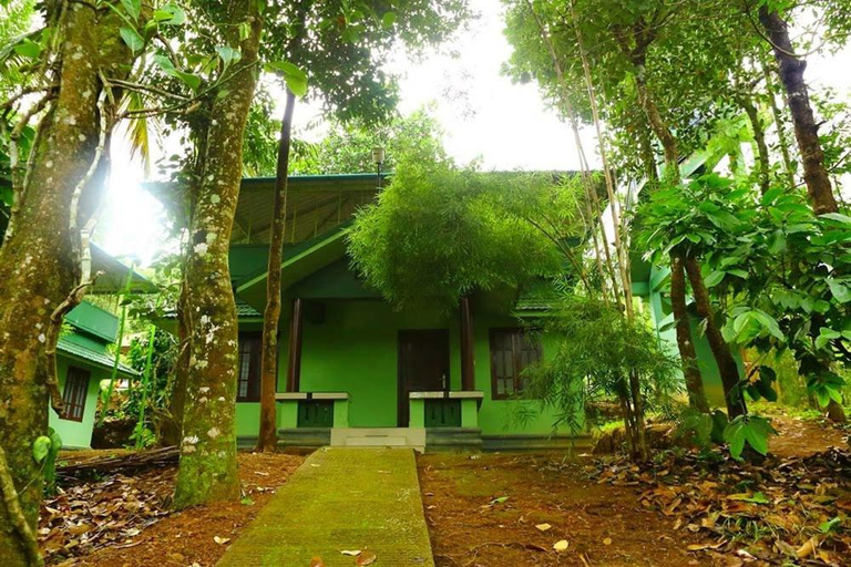 Others 3, Shibi's Tea Garden Heritage, Wayanad