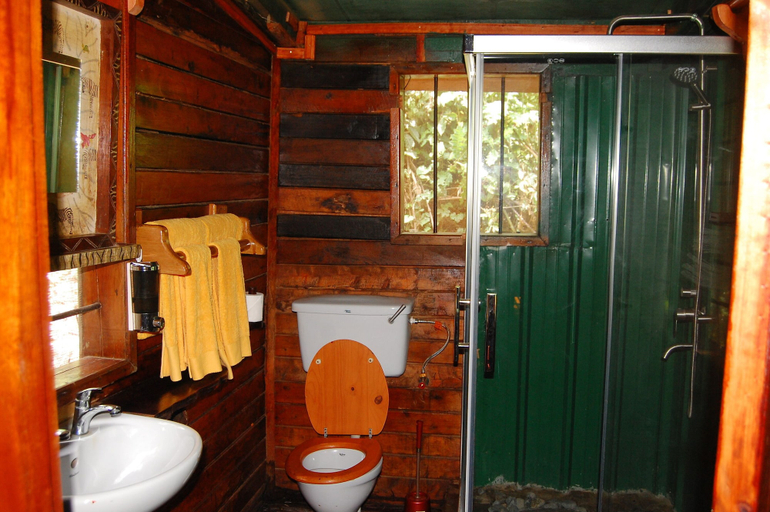 Bathroom, SNOWHEIGHTS LOGDE MIHUNGA, Busongora