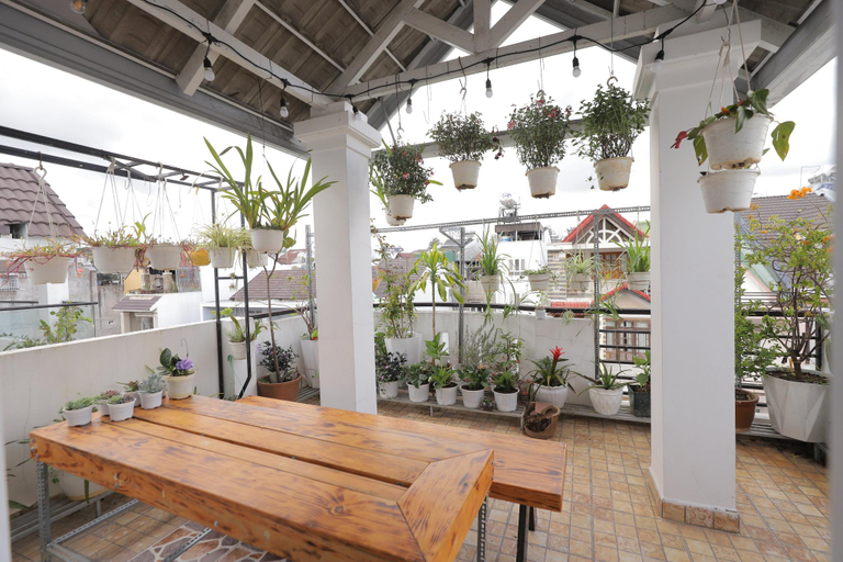 Others, Jerry House Đa Lat, Đà Lạt