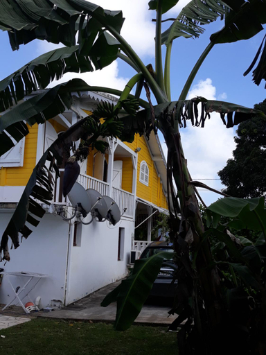 Others 5, villa do brazil, Ducos