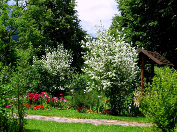 Others 4, Noclegi U Lestka, Bieszczady