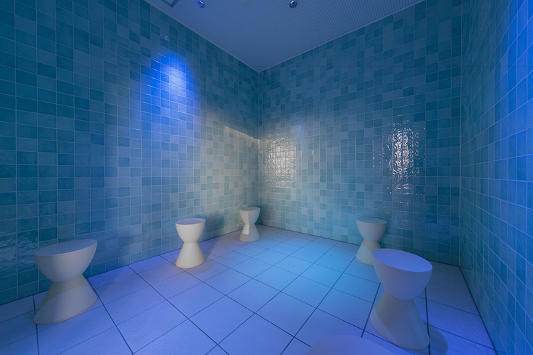 Bathroom 4, Jr Kyushu Hotel Blossom Oita, Ōita