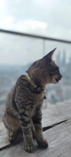 Others 2, Penthouse on 34 - The Highest Unit and Best Views in Regalia & Private Rooftop Terrace, Kuala Lumpur