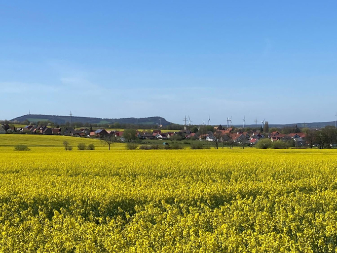 Others 4, Ferienwohnungen bei der Purpurbuche, Goslar