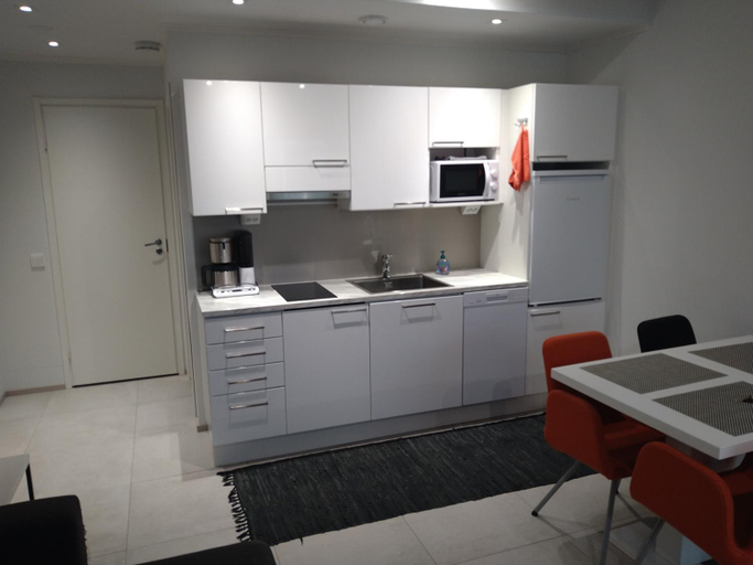 Kitchen 4, Apartment Songhill, North Savonia