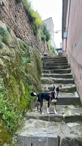 Others 4, Karlin's house Anzi - albergo diffuso, Potenza