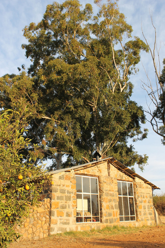 Exterior & Views 2, Ardmore Guest Farm, Uthukela