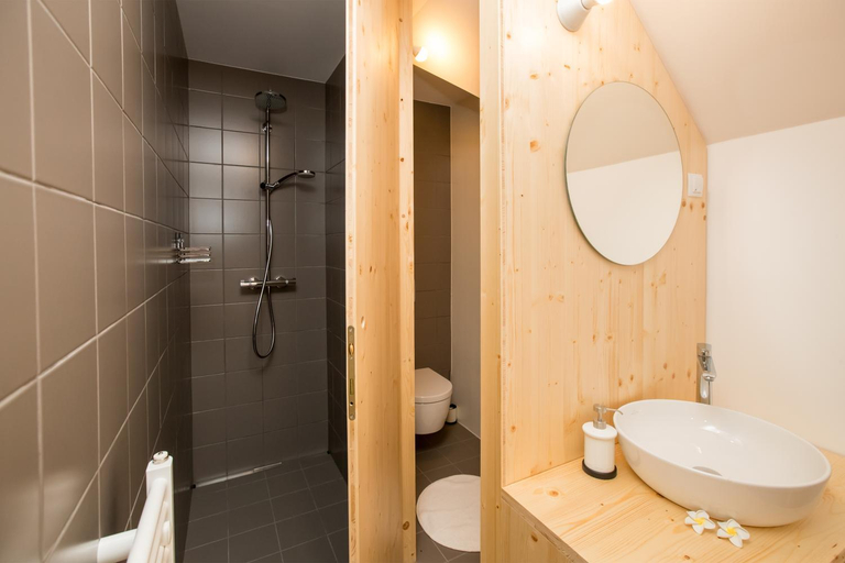 Bathroom 3, Hisa Erlah, Bohinj