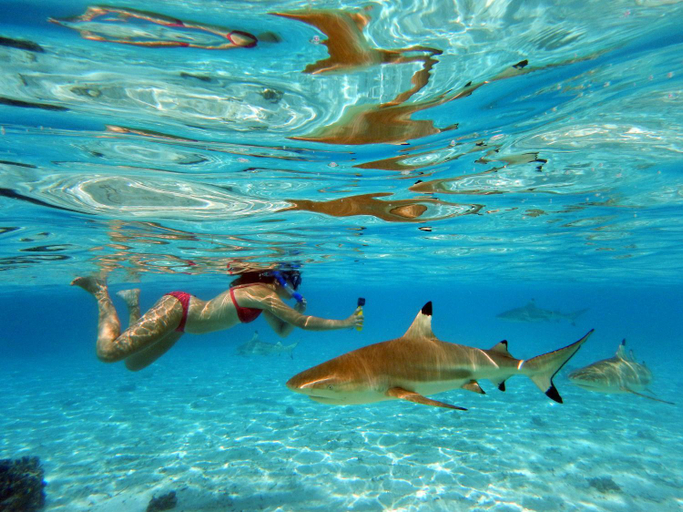 Sport & Beauty 2, Pension Les 3 Cascades