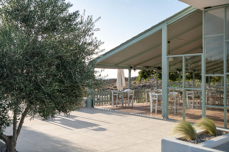 Others 4, Elafonisi Resort by Kalomirakis Family, Crete