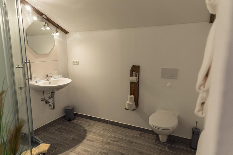 Bathroom 5, Waldhotel Seebachschleife, Regen