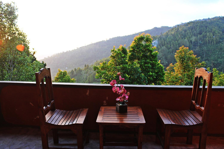 Scenery 12