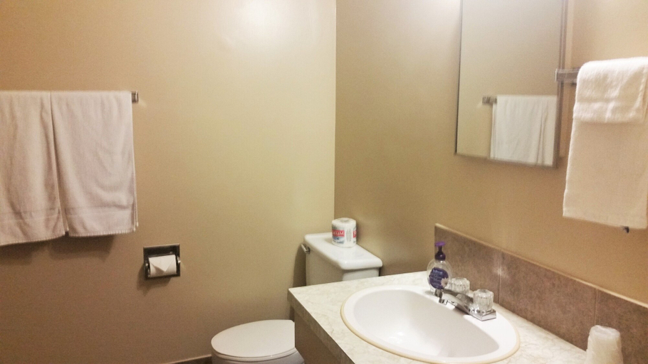 Bathroom 4, Viking Lamplighter Motel, Division No. 10