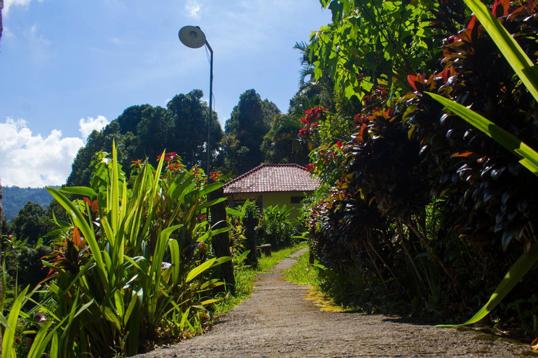 Scenery 4