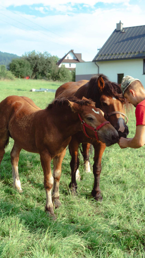Others 3, Noclegi i Agroturystyka Dorota Rusnak, Limanowa