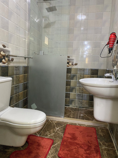 Bathroom 4, The GEM View Boutique, Al-Ahram