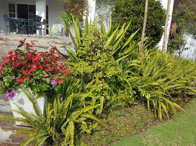 Others 4, Green Park Manor Guesthouse, City of Johannesburg