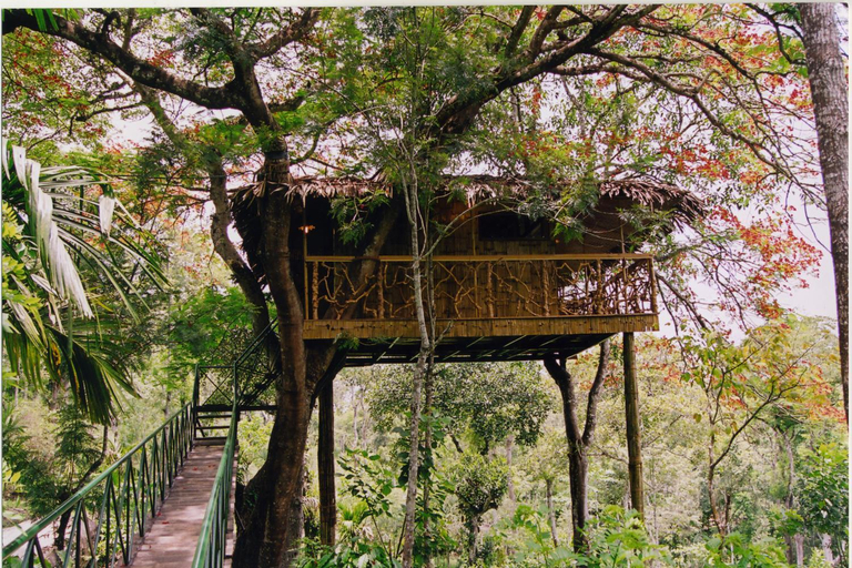 Others 5, Tranquil Resort - A BluSalzz Collection, Wayanad