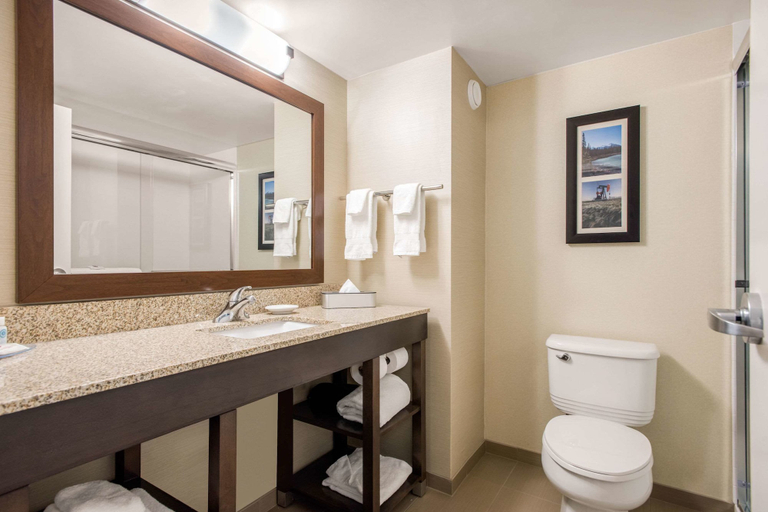 Bathroom 5, Comfort Inn & Suites Red Deer, Division No. 8