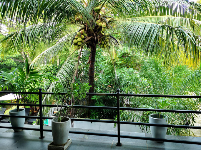 Others 3, Serendib Village Guest House, Negombo