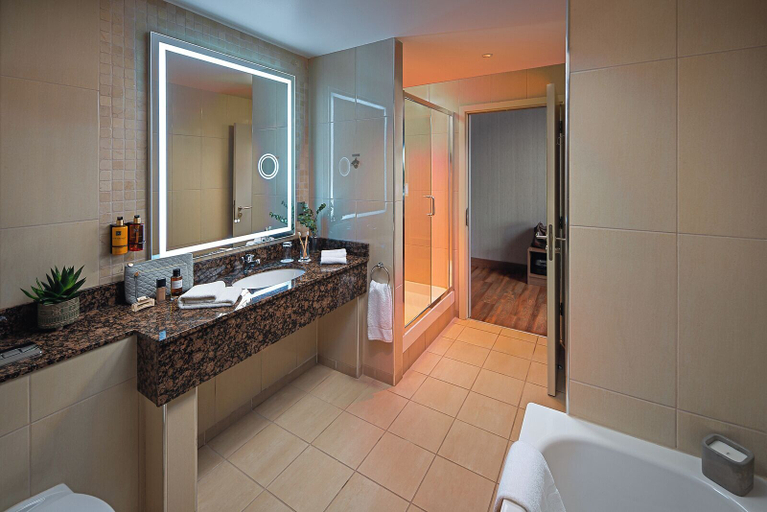 Bathroom 4, Carlton Hotel Dublin Airport Hotel, Dublin