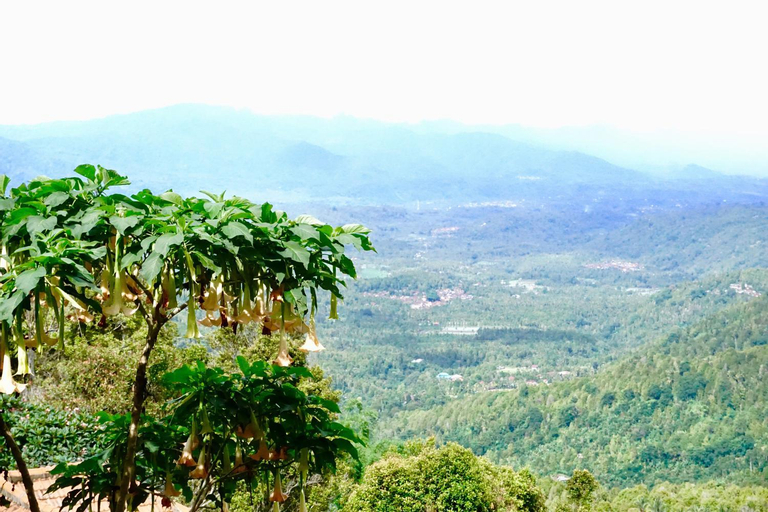 Scenery 5