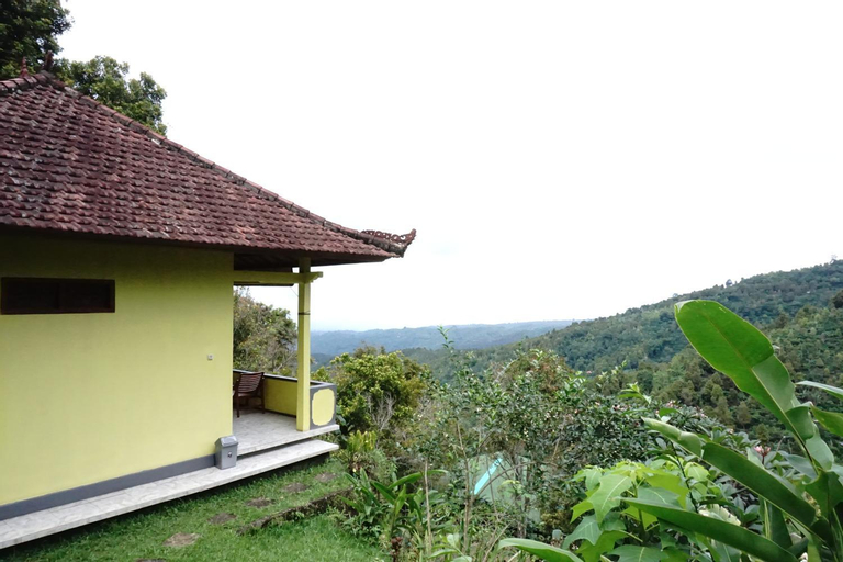 Scenery 10