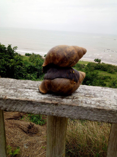 Others 4, Abuesi Beach Resort, Shama Ahanta East
